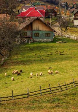 10 Authentic Romanian Villages: Where Rural Life Still Feels Real