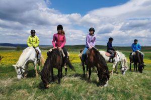 Day 2: Horse riding