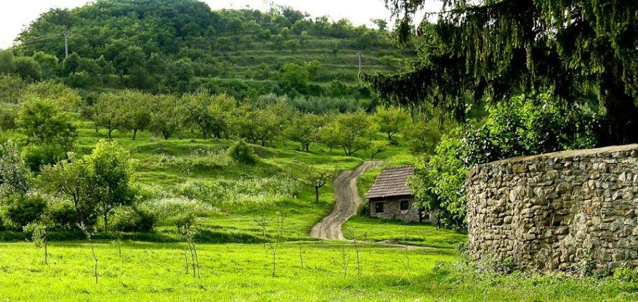 Visit Transylvania