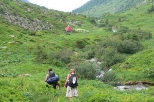 Pick up from Brasov and hike to the mountain cabin