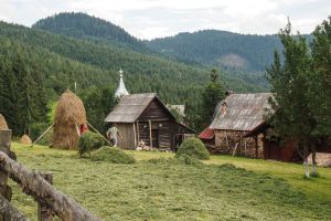 Hiking trip in Apuseni Carpathians