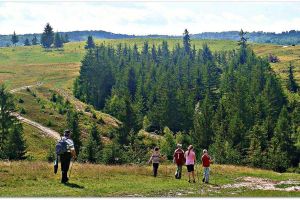 Apuseni Natural Park