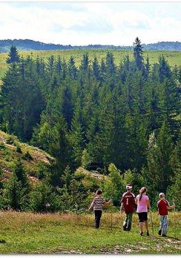 Places to visit in Apuseni Mountains: Exploring the Natural Park in the Western Carpathians