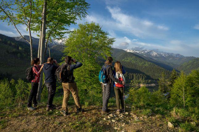 The ridge of Fagaras Mountains