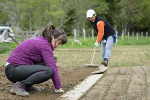 Day 2 - Help out with reforestation activities