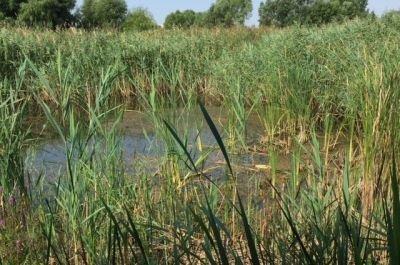 Snapshot of traveller