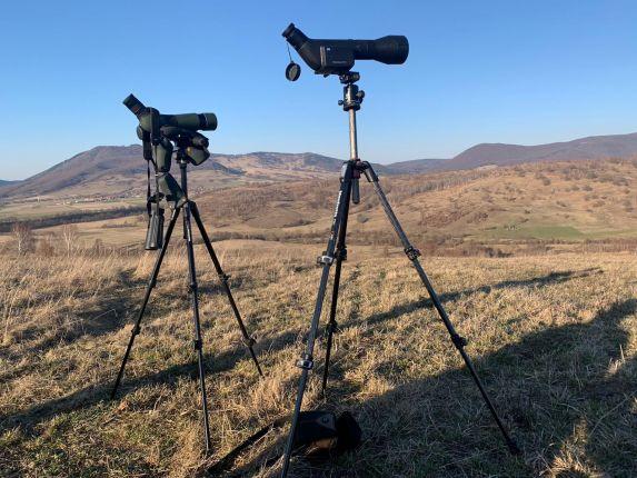 Wildlife watching Transylvania