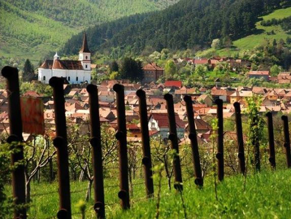 The village of Rasinari