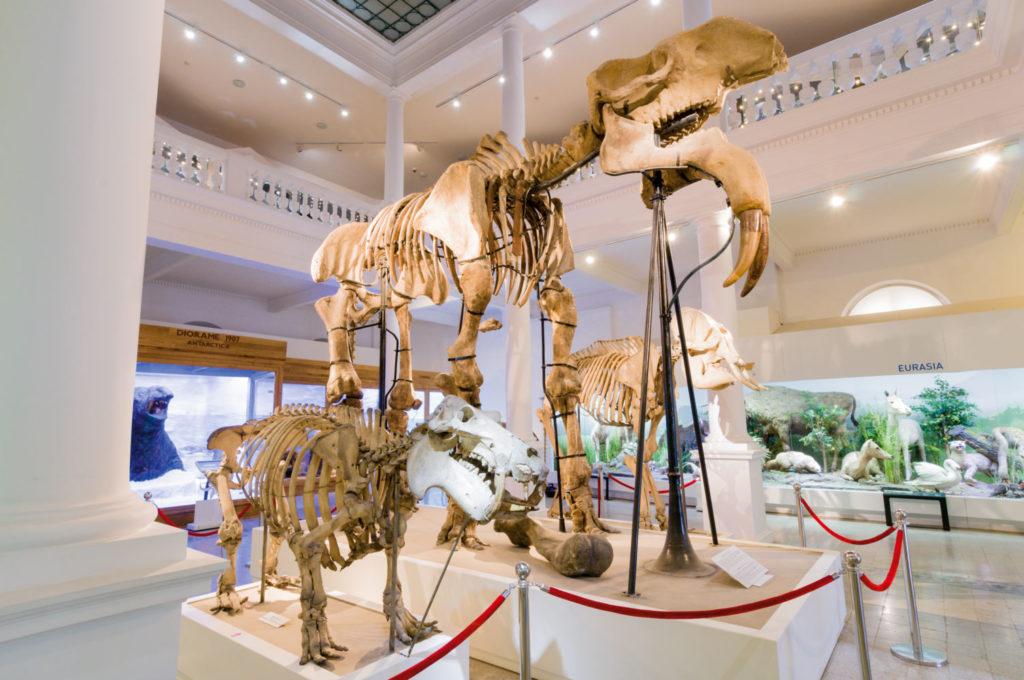35-interesting-museums-in-romania-worth-visiting-in-2026-romanian-friend