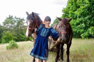 Snapshot of traveller