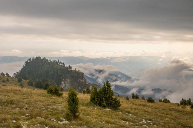 mist rising after the rain