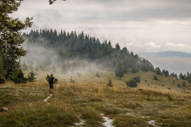 Misty trails