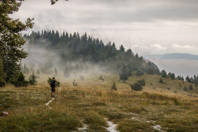 Misty trails