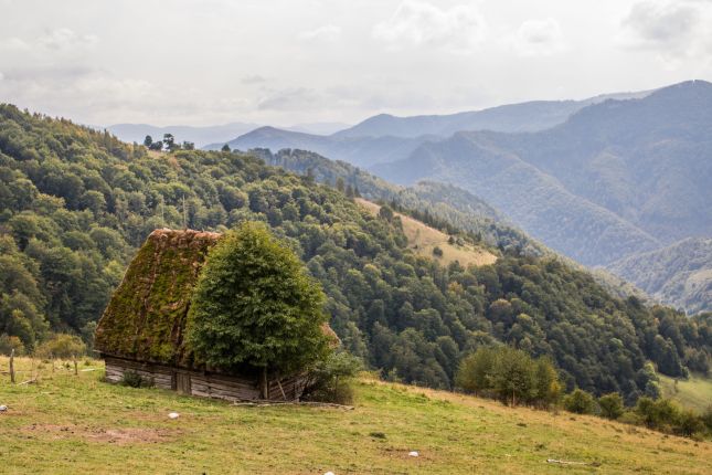 Western Carpathians