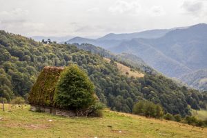 Western Carpathians