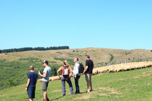 Hiking on the Cheese route in the Cindrel Mountains.