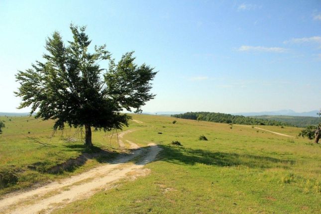 Countryside near Cluj