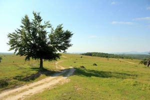 Countryside near Cluj