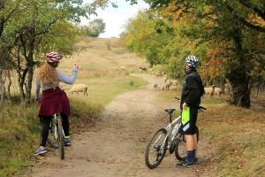 Bike, nature & sights