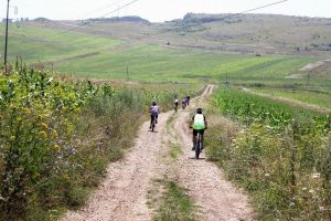 Bike to Turda Gorge