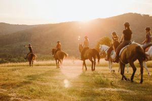 Horse riding in Romania: a unique experience!