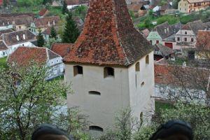 Things to do in Transylvania