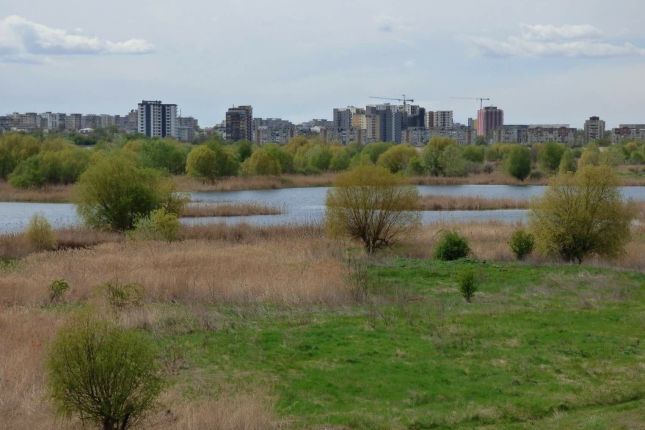 Vacaresti Natural Park