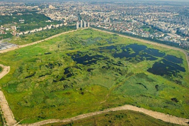 Vacaresti Natural Park (photo credit Helmut Ignat)