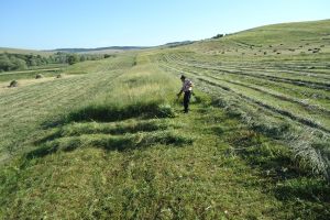 Agrotourism in Transylvania stay
