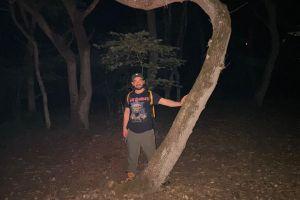 Snapshot of traveller