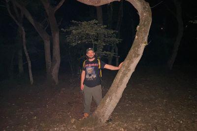 Snapshot of traveller